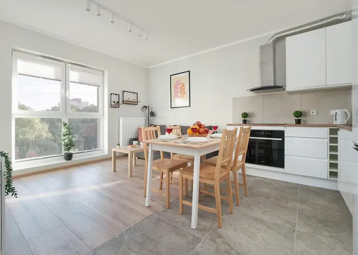 Z Parkingiem W Lodzi Przy Parku Rejtana By Renters Apartment *